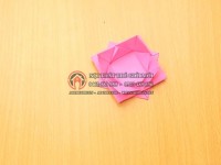 Hướng dẫn gấp giấy origami hình bông hoa sen